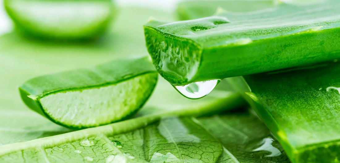 Aloe Vera Gel for Acne: A Natural Solution for Clearer Skin