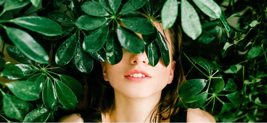 SWITCH TO SOLID SOAP AND SHAMPOO BARS