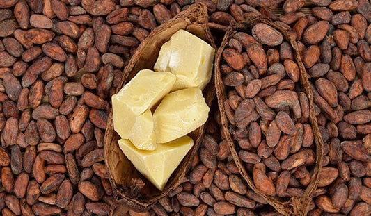 Read This To Know What Makes Cocoa Butter An Extraordinary Ingredient