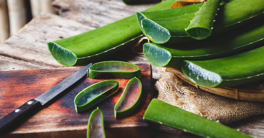 HOW TO MAKE ALOE VERA GEL A MULTITASKER