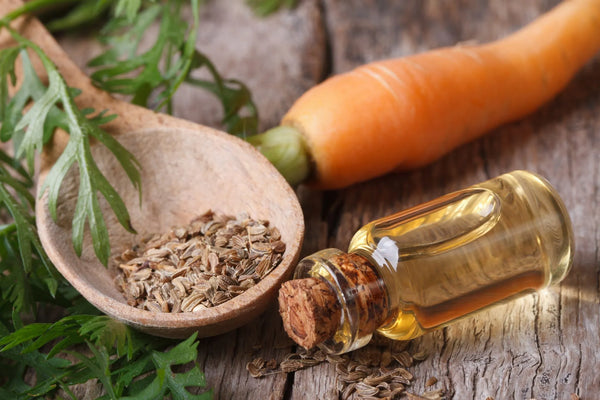 BENEFITS OF CARROT SEED OIL