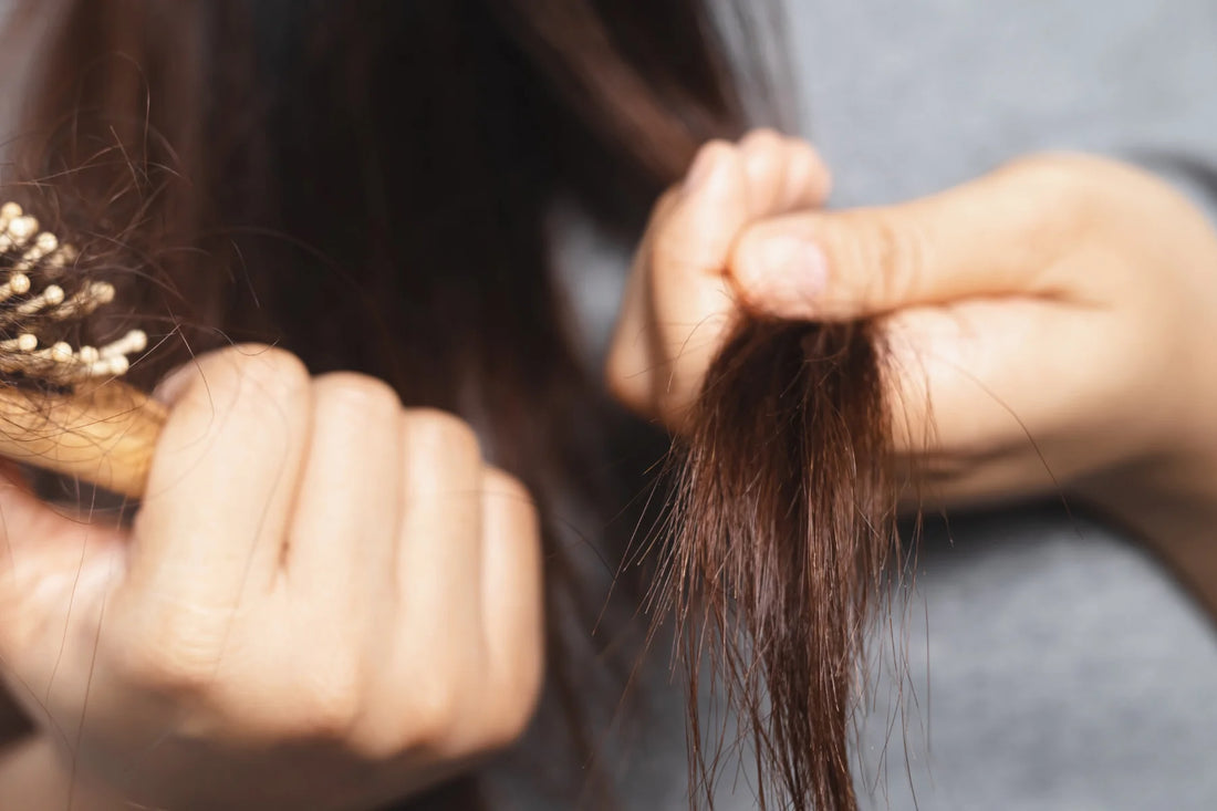 Dermatologist recommended shampoo for dry and frizzy hair in india