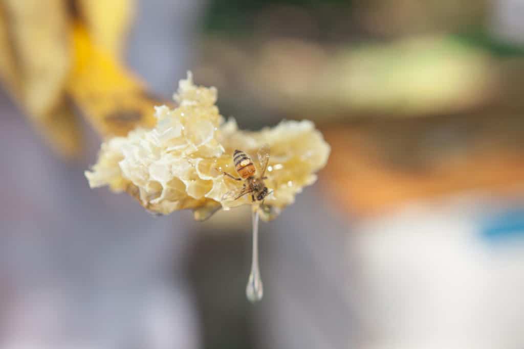 6 Beeswax benefits for skin