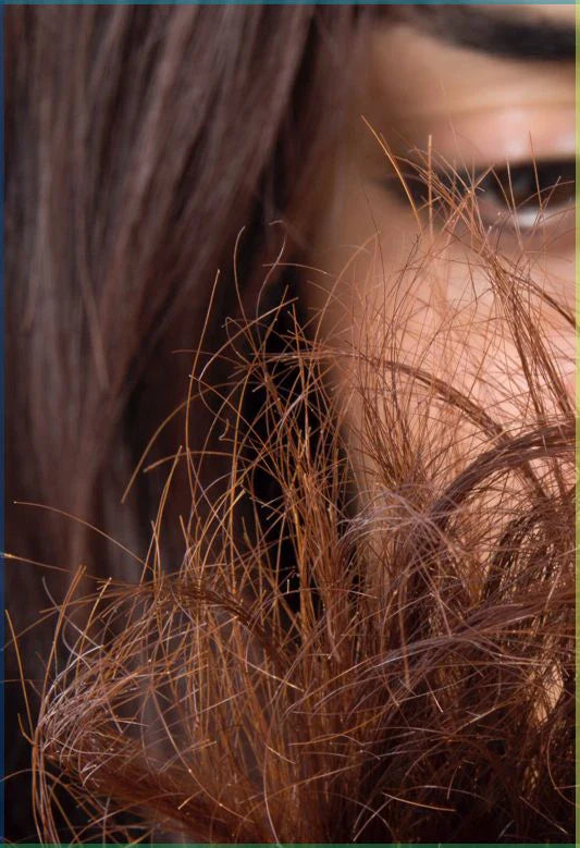 How To Repair Damaged Hair