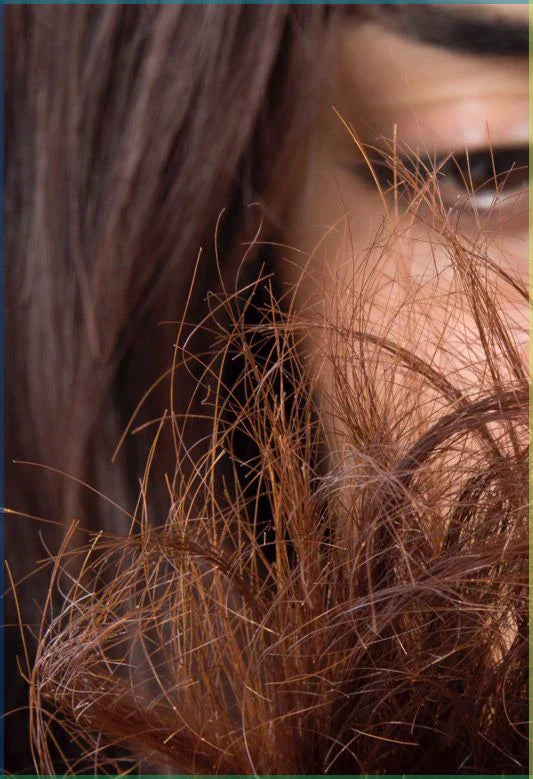 How To Repair Damaged Hair