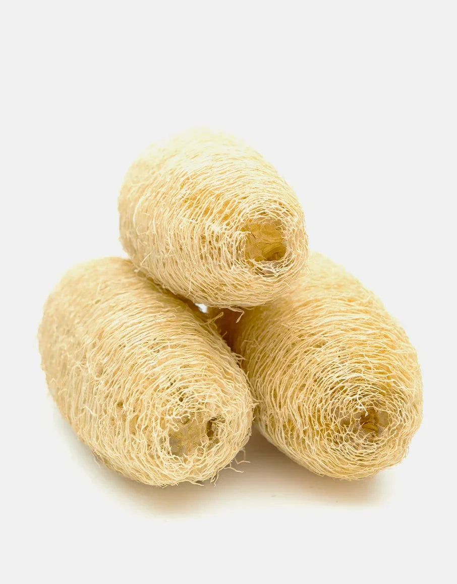 Loofah vs Body Scrub: Differences, Benefits & Which One Is Better for Your Skin?