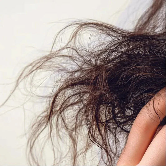 How To Prevent Hair Breakage