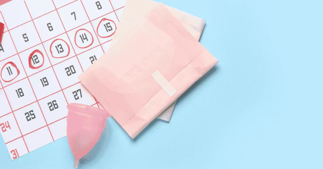 Menstrual Cup vs Pads: Which One Should You Choose?