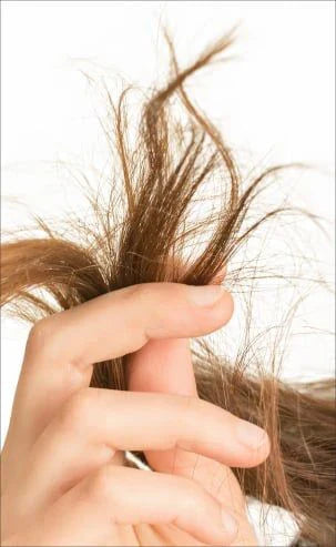 How To Stop Hair Breakage