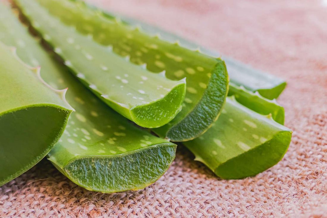 Can aloe vera remove pimples and dark spots?