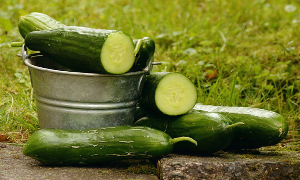 Wondering How Cucumber can Help Your Skin Glow?