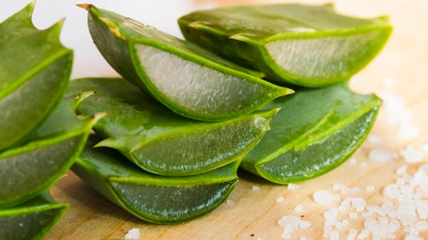5 Reasons why aloe vera should be a part of your skin care routine?