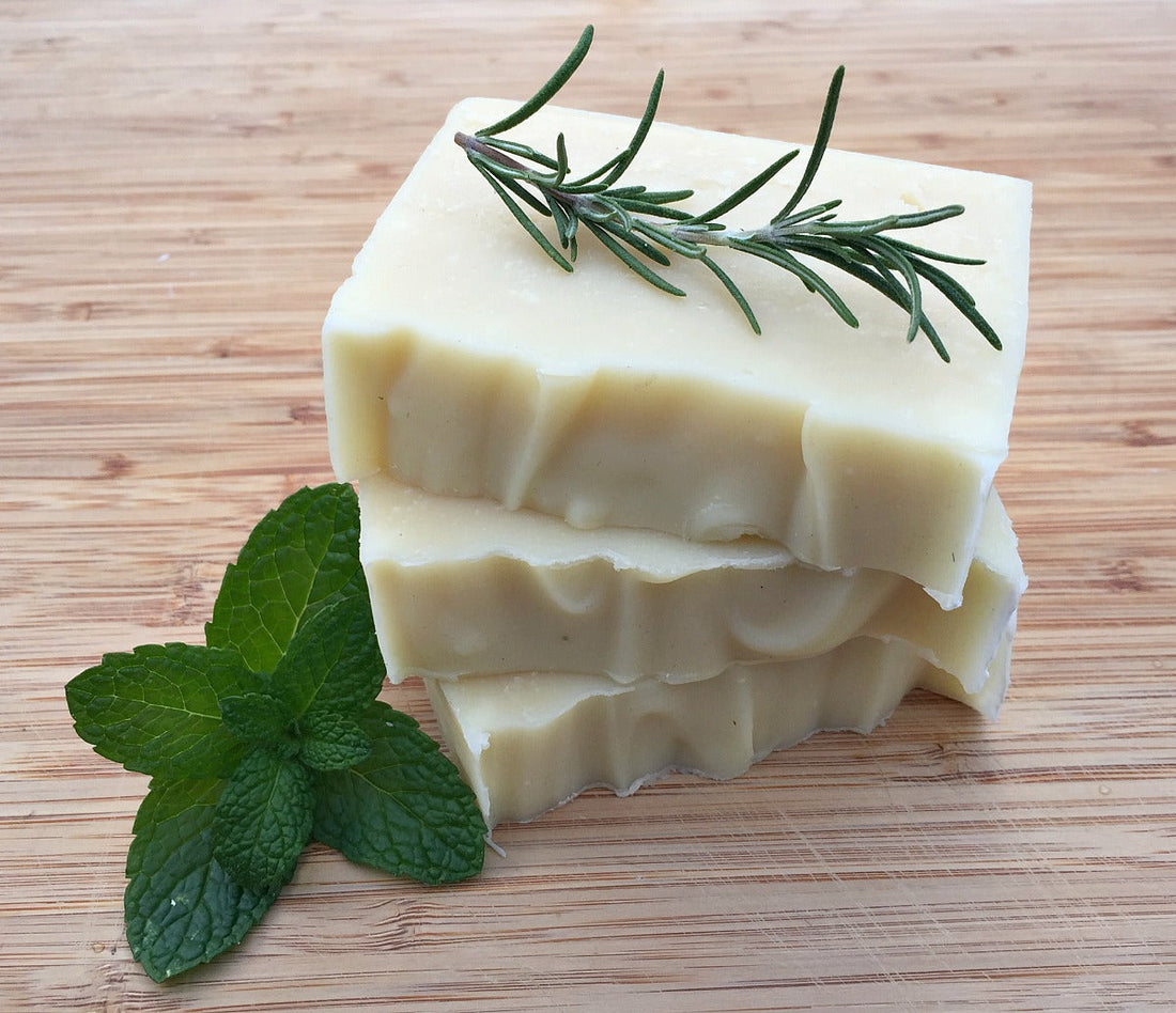 Benefits of Shampoo Bars for Colour