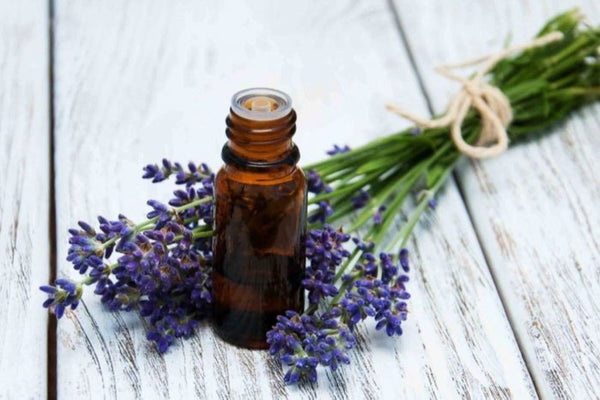 Make Your Lavender Essential Oil Work To Its Full Power, Here’s Top 7 Ways To Use It