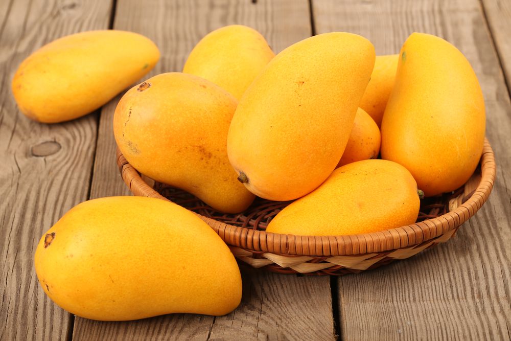 Mango fruit benefits for body