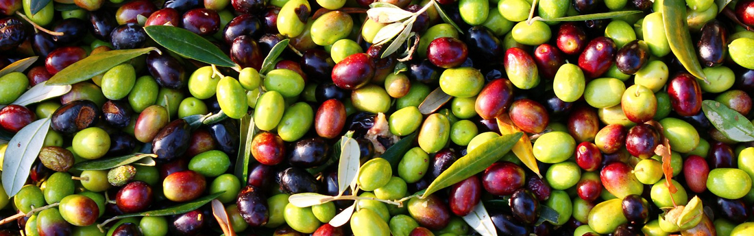 Olives