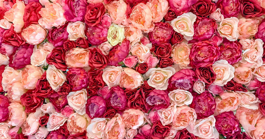 SAVIOUR TO PREVENT DRYNESS THIS WINTER