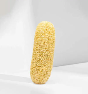 Organic Loofah