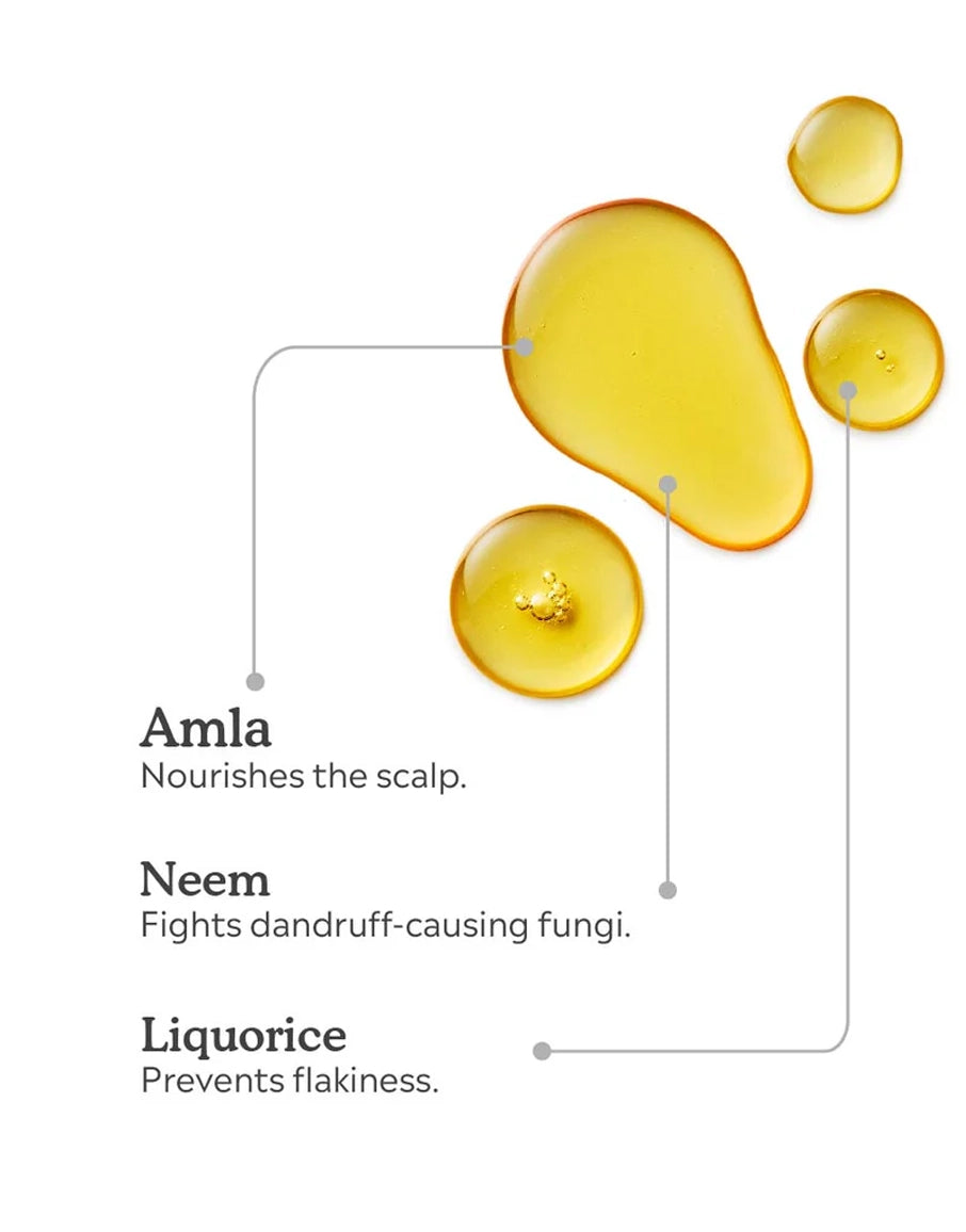 Ingredients of Anti Dandruff Oil Mini 50 ml
