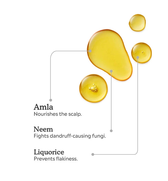 Anti Dandruff Oil Mini 50ml