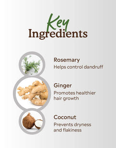 Key ingredients of deyga dandruff shampoo - organic anti dandruff shampoo