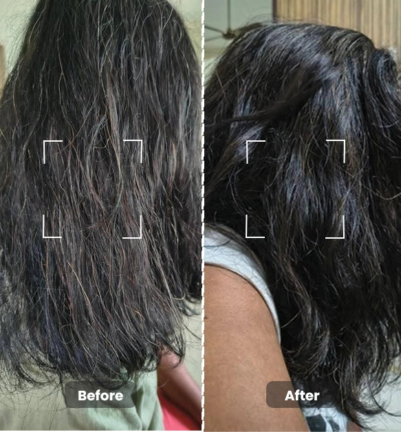 Daily Use Healthy Hair Combo