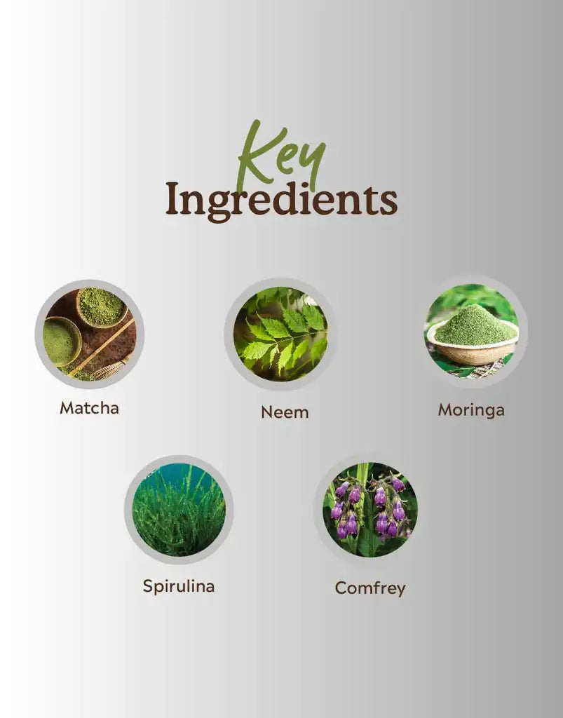 Key Ingredients