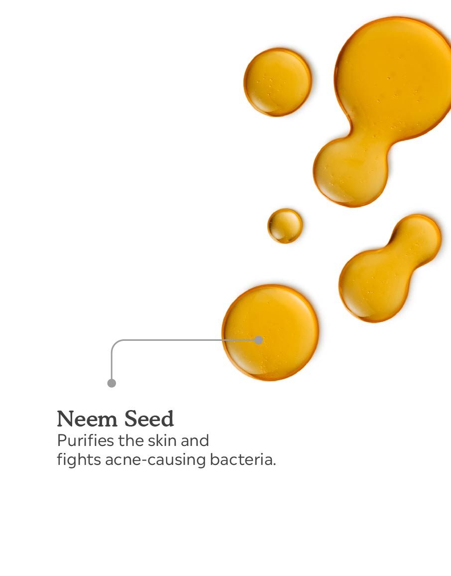 Neem Seed Oil