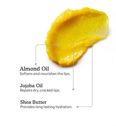 Shea Butter Lip Balm 10g