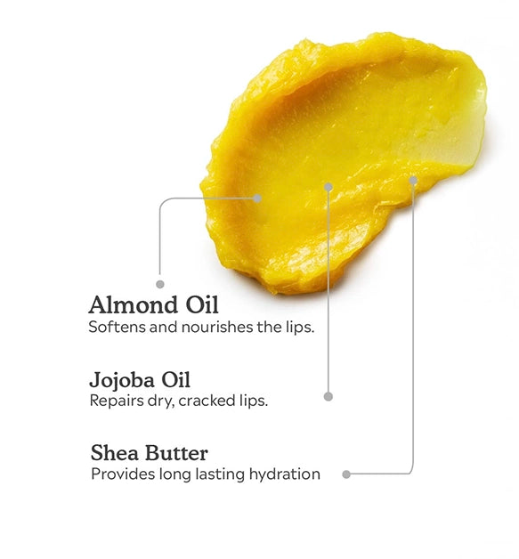 Shea Butter Lip Balm 10g