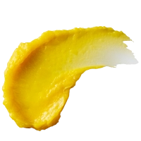 Shea Butter Lip Balm