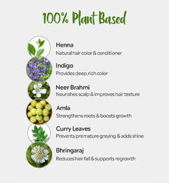 Deyga 100% Plant Based Hair Color - Black