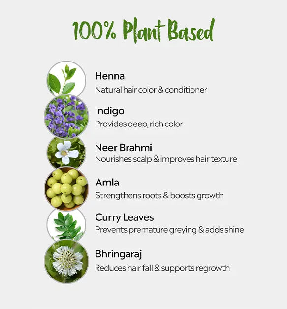 Deyga 100% Plant Based Hair Color - Black