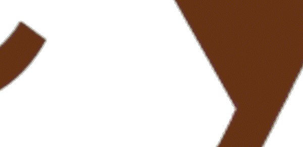 Deyga Organics
