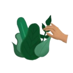 image_7-removebg-preview